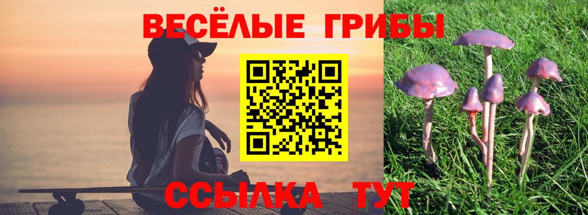 Псилоцибиновые грибы Cubensis Избербаш